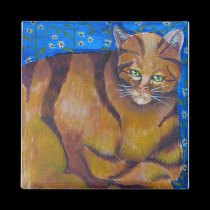 Gato anaranjado imanes