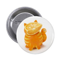 gato anaranjado pin