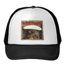 Gato birmano - querido, caballero gorros  