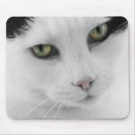 Gato blanco Mousepad Tapetes De Ratones