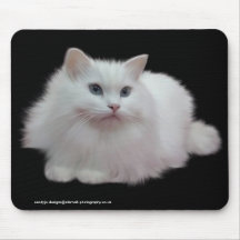 Gato blanco mullido alfombrilla de ratones