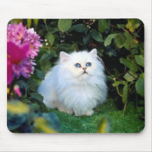 Gato blanco mullido - Mousepad