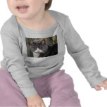 Gato (camiseta del bebé)