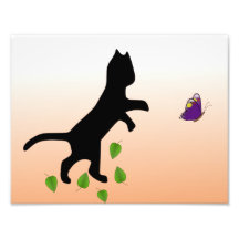 Gato con la mariposa fotografias