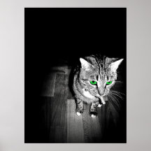 Gato con los ojos verdes impresiones