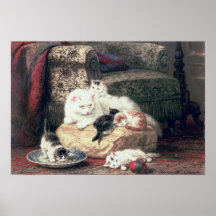 Gato con sus gatitos en un amortiguador poster