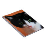 Gato Libro De Apuntes Con Espiral