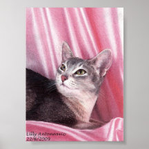 Gato de Absynian Impresiones