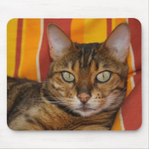 Gato de Bengala Tapetes De Raton