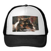 Gato de calicó con los ojos verdes gorro de camionero