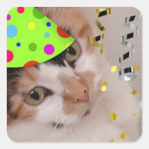 Gato de calicó del fiesta del feliz cumpleaños etiquetas  