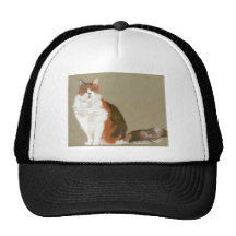 gato de calicó gorros  
