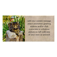 Gato de la actitud tarjetas fotograficas personalizadas