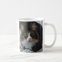 Gato de la boa taza de café