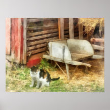 Gato de la granja impresiones