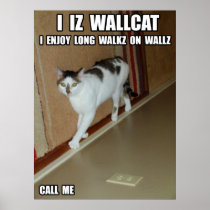 Gato de la pared posters