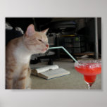 Gato de Margarita Impresiones