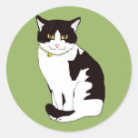 Gato de Mario DA Etiqueta