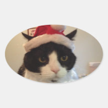 Gato de Santa Benny Etiquetas
