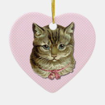 Gato de Tabby Adorno