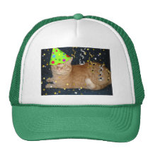 Gato de Tabby anaranjado de la fiesta de cumpleaño Gorros