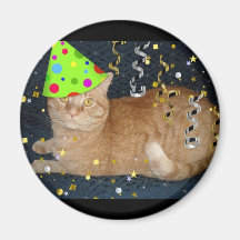 Gato de Tabby anaranjado de la fiesta de cumpleaño Iman De Frigorífico