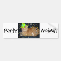 Gato de Tabby anaranjado de la fiesta de cumpleaño Pegatina De Parachoque