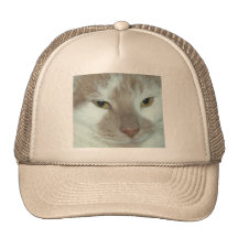 Gato de Tabby blanco y anaranjado Gorras De Camionero