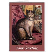 Gato de Tabby del mascota con la tarjeta de Blue R
