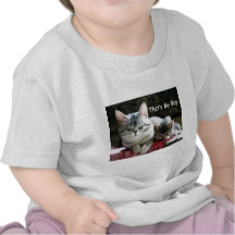 Gato de Tabby que es mi muchacho Camiseta