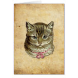 Gato de Tabby Tarjetas