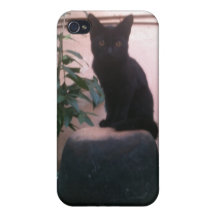 Gato de Yabba iPhone 4/4S Carcasa