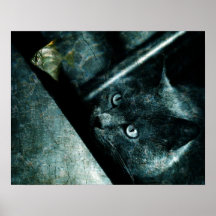 Gato del abismo poster