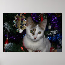 Gato del árbol de navidad impresiones