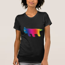 Gato del arco iris camiseta