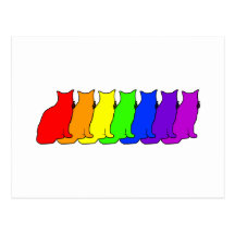 Gato del arco iris postal
