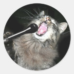 Gato del canto pegatina