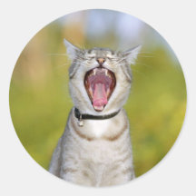 Gato del canto pegatinas redondas
