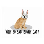 Gato del conejito triste postales