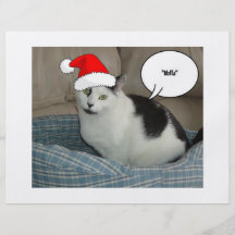 Gato del gatito del gorra de Santa del navidad Flyer A Todo Color