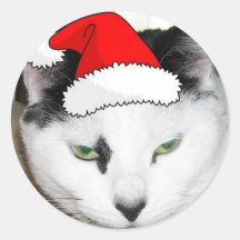 Gato del gatito del gorra de Santa del navidad Pegatina Redonda