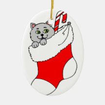Gato del gatito en el almacenamiento del navidad adorno para reyes