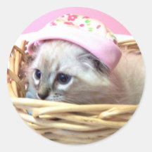 gato del gatito en un pegatina del gorra