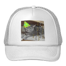 Gato del gris del juerguista gorro de camionero
