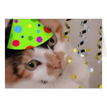 Gato del juerguista/de calicó felicitación