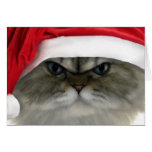 Gato del navidad felicitación