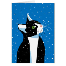 Gato del navidad que mira fijamente los copos de n tarjetas