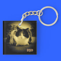 Gato del ojo de la cerradura llaveros