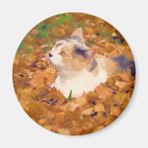 gato del otoño iman para frigorífico