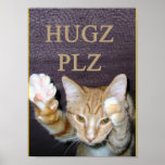 Gato del PLZ de Hugz Posters